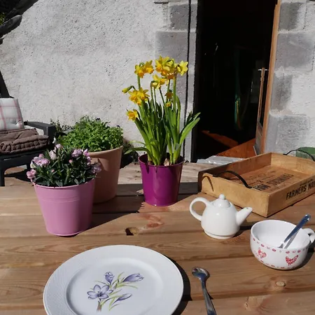펜션 Mini Maison Terrasse Vue Montagne Proche Puy Mary *